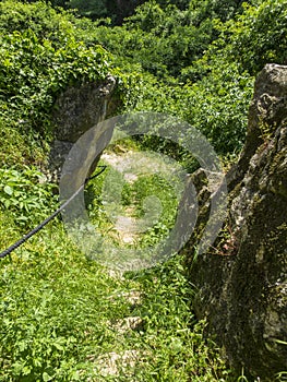 Old path from a cliff and tower in Istria