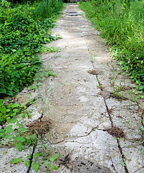 Old Path