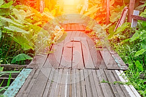 Old path wood bridge in deep forest crossing water with glowing light