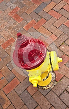 Old pedestrian brick paveway