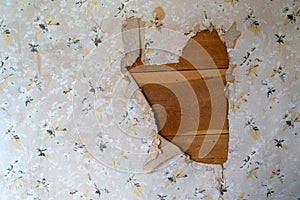 Old peeling floral wallpaper, exposing the wood plank paneling walls behind. Useful for backgrounds