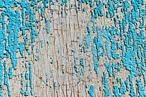 Old and peeling paint Over time, the blue paint peeled off from the old boards and the wood texture cracked. Vintage