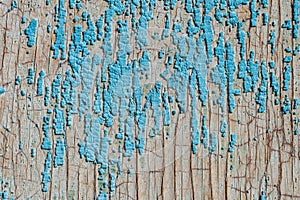 Old and peeling paint Over time, the blue paint peeled off from the old boards and the wood texture cracked. Vintage