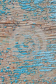 Old and peeling paint Over time, the blue paint peeled off from the old boards and the wood texture cracked. Vintage