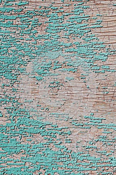 Old and peeling paint Over time, the green paint peeled off from the old boards and the wood texture cracked. Vintage