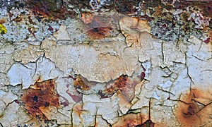 Old peeling paint on rusting metal
