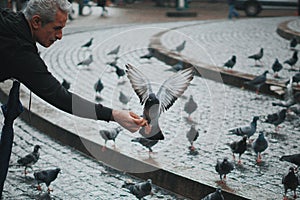 Old people and pigeons