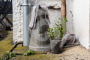 Old pewter pitcher outdoor