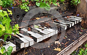 Old piano left to become overgrown with plants and vegetation