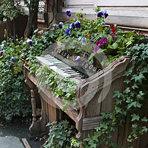 Old piano used instead of beds, as decoration of the park.