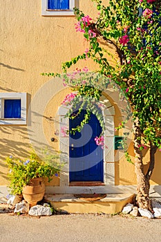 Old pictorial greek door with flowers