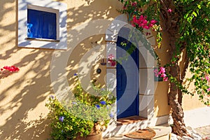 Old pictorial greek door and window with flowers