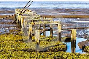 Old pier head seen at low tide