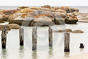 Old pier, Lillies BEach, Flinders Island, Tasmania