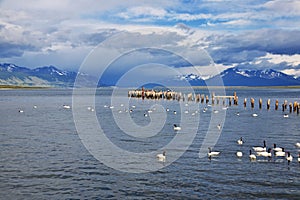 The old pier in Puerto Natales, Chile