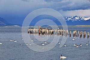 The old pier in Puerto Natales, Chile