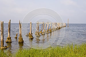 Old pier on the shore of the Gulf of Mexico