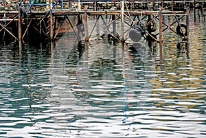 Old Pier - Ushuaia - Argentina