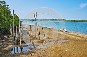 The old piles at the river`s bank, Chaung Tha, Myanmar photo