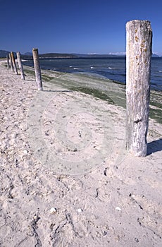 Old pilings on a beach spit, British Columbia