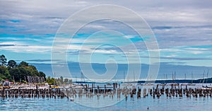 Old Pilings in Blue Hour