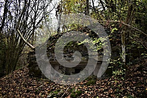 old pillbox in the middle of a forest in autumn