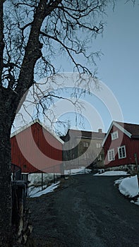 Old pine houses in TrÃÂ¸ndelag museum