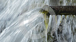 Old pipe expelling water in a water spring