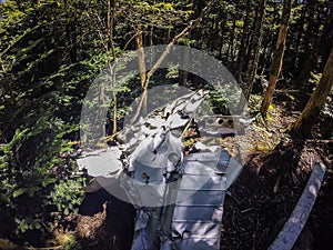 Old plane crash slowly dissolves in the forest