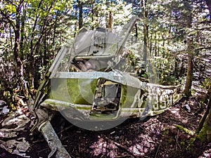 Old plane crash slowly dissolves in the forest