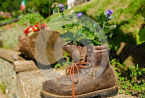 Old planter boot