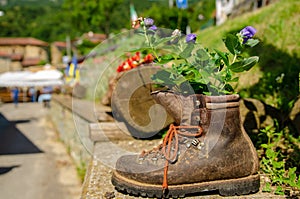 Old planter boot