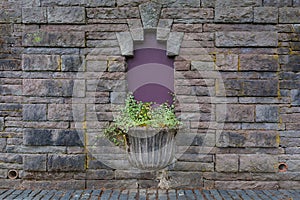 Old Planter on Stone Wall