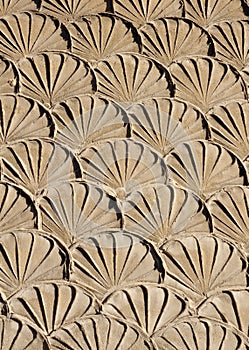 Old plaster imitation shells on wall