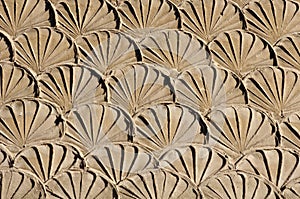 Old plaster imitation shells on wall