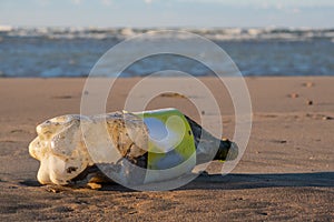 Old plastic bottles on a sandy beach.