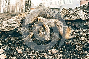 Old plastic broken doll in a heap of garbage