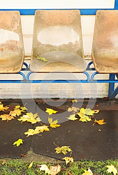 Old plastic seats on outdoor stadium players bench, chairs with worn paint below yellow roof. End of football seasson.