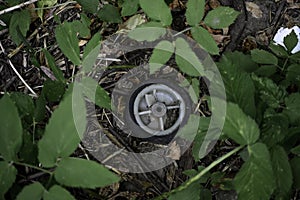 The old plastic wheel lays on a ground in the forest