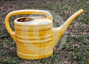 Old plastic yellow flower watering can