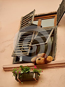 Old plush dog sitting on a window