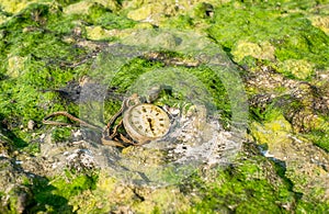 Old pocket watch with cracked glass partially buried in green algae