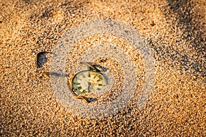 Old pocket watch with cracked glass partially buried in sand