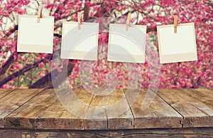 Old polaroid photo frames hanging on a rope over cherry blossom tree landscape