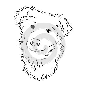 The old poor mangy dog look sad and lonely., mongrel, abandoned dog, vector sketch illustration