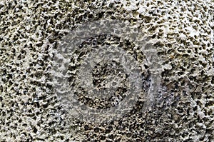 Old porous stone surface texture closeup