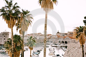 The old port harbor is porporela, near the walls of the old town of Dubrovnik, Croatia. The view from the entrance to