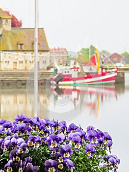 Old port. Honfleur, Normandy, France