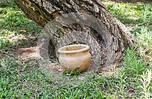 Old pot near tree, archaeological park of Shiloh, Israel