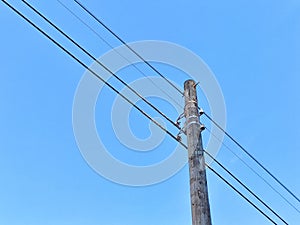 Old power line pole against blue sky in sunny day